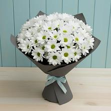 Букет цветов из:  Хризантемы #REPLACE_PRED# Вознесенском