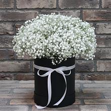 Цветочная композиция из Гипсофила в шляпной коробке #REPLACE_PRED# Вознесенском