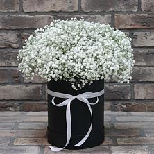 Цветочная композиция из Гипсофила в шляпной коробке в Вознесенском